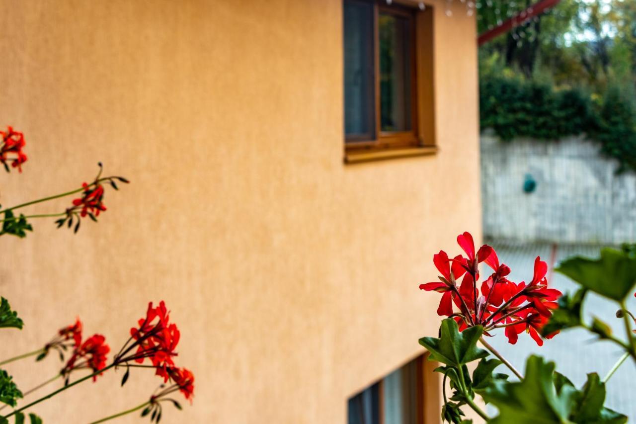 Casa Tofi Vendeghaz Aparthotel Praid Exteriör bild